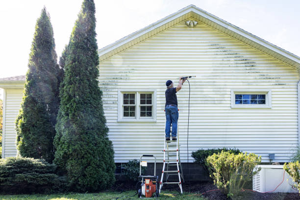 Best Graffiti Removal  in Valley Falls, RI